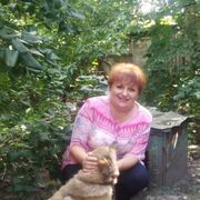 ���������� �������, ���� ������� ��������, 60 ���, ������������ ��� c�������� ���������