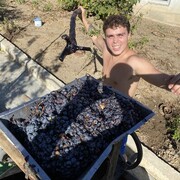 ���������� �������, ���� ����� Iacob, 23 ����, ������������ ��� ������, ����� � ���������