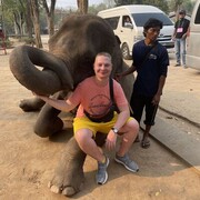 ���������� ������, ���� ������� �������, 36 ���, ������������ ��� ������, ���������