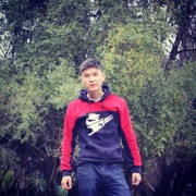  ,   Meder, 28 ,   ,   , c , 
