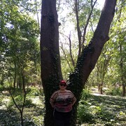  ,   , 57 ,   c 