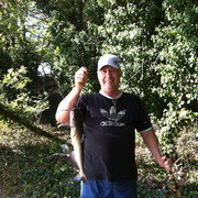 ���������� �������, ���� ������� ���������, 71 ���, ������������ ��� ������, ����� � ���������, c�������� ���������