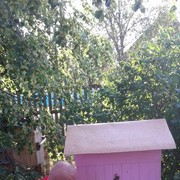 ���������� ������, ������� �������, 43