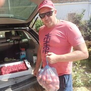  ,   Vladimir, 48 ,     , c 