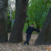 ���������� ���������, ���� ������� ������, 49 ���, ������������ ��� ������