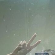 ���������� �����, ���� ������� �����, 26 ���, ������������ ��� ������, ����� � ���������