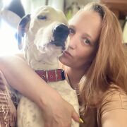 ���������� �����������, ������� ���������, 39