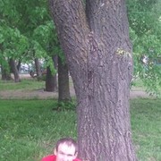 ���������� �����, ���� ������� �����, 39 ���, ������������ ��� ������, ����� � ���������, c�������� ���������