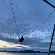 ���������� �������, ���� ������� ������, 38 ���, ������������ ��� ������, ����� � ���������, c�������� ���������