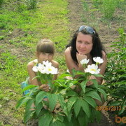 ���������� ������ �����, ���� ������� �����, 44 ����, ������������ ��� ������, ����� � ���������, c�������� ���������