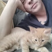  ,   Vad, 47 ,   ,   