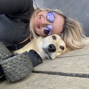 ���������� ������, ���� ������� ����, 33 ����, ������������ ��� ������, ����� � ���������, c�������� ���������, ���������