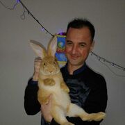 ���������� ������������, ���� ������� �����, 45 ���, ������������ ��� ������, ����� � ���������, c�������� ���������