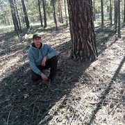  -,   , 39 ,  