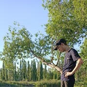 ���������� �����, ������� ���������, 27