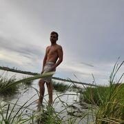  ,   , 33 ,   ,   
