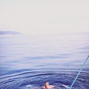 ���������� ���������, ���� ������� Baha, 40 ���, ������������ ��� ������, ����� � ���������