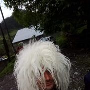  ,   Giprgi, 37 ,   ,   