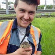 ���������� ����������� ����, ���� ������� ����, 31 ���, ������������ ��� ������, ����� � ���������, c�������� ���������