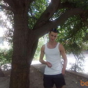 ���������� ��������, ���� ������� Vishes hjvf, 39 ���, ������������ ��� ����� � ���������, c�������� ���������