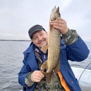  ,   Nik, 50 ,   ,   