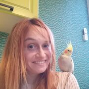 ���������� ����, ���� ������� Maria, 38 ���, ������������ ��� ������, ����� � ���������, c�������� ���������, ���������