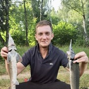 ���������� ������, ���� ������� �������, 46 ���, ������������ ��� ������, ����� � ���������