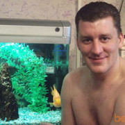 ���������� �����������, ���� ������� �������, 48 ���, ������������ ��� ������, ����� � ���������, c�������� ���������