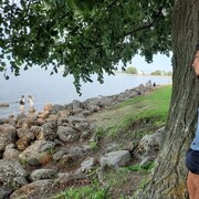 ���������� �����-���������, ���� ������� ������, 32 ����, ������������ ��� ������, ����� � ���������