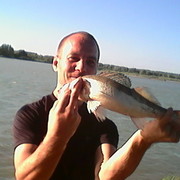 ���������� �������, ���� ������� ������, 36 ���, ������������ ��� ������, ����� � ���������, c�������� ���������