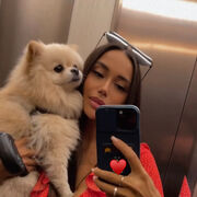 ���������� ������, ���� ������� ������, 26 ���, ������������ ��� ������, ����� � ���������, c�������� ���������