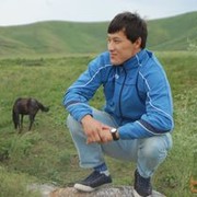 ���������� ������, ���� ������� Asha, 36 ���, ������������ ��� ������