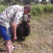 ���������� �����������, ���� ������� ������ ���, 47 ���, ������������ ��� ������, ����� � ���������, c�������� ���������, ���������