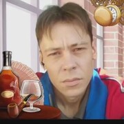 ���������� ���������, ���� ������� DikiDEN, 40 ���, ������������ ��� ������, ����� � ���������, c�������� ���������