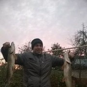 ���������� ������, ���� ������� ����, 38 ���, ������������ ��� ������, ����� � ���������, c�������� ���������