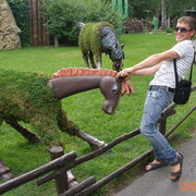  -,   Azamat, 35 ,   