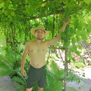 ���������� �����, ���� ������� ���������, 44 ����, ������������ ��� ������, ����� � ���������