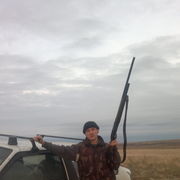 ���������� ������, ���� ������� ���������, 38 ���, ������������ ��� ����� � ���������, c�������� ���������