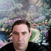  ,  , 43