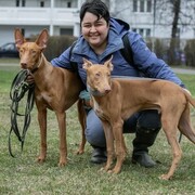 ���������� ������, ���� ������� �����, 32 ����, ������������ ��� ����� � ���������, c�������� ���������