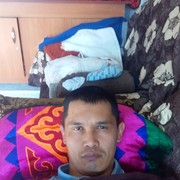  -,  , 43