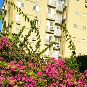  Sederot,  , 66