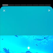 ���������� ������-��-����, ���� ������� ����, 36 ���, ������������ ��� ������, ����� � ���������, c�������� ���������, ���������