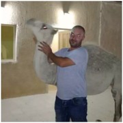  Pomorie,   , 43 ,   ,   , c 