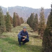  ,   , 33 ,     , c 