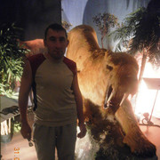 ���������� �������, ���� ������� ���������, 40 ���, ������������ ��� ������, ����� � ���������, c�������� ���������