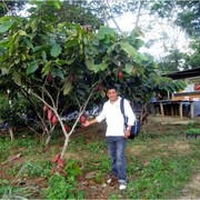  Salaverry,   Vidal, 66 ,   ,   