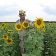 ���������� �����, ���� ������� ���������, 65 ���, ������������ ��� ������, ����� � ���������, c�������� ���������