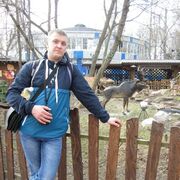 ���������� �����, ���� ������� �������, 39 ���, ������������ ��� ������, ����� � ���������