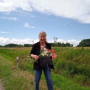 ���������� ��������, ������� ��������, 65